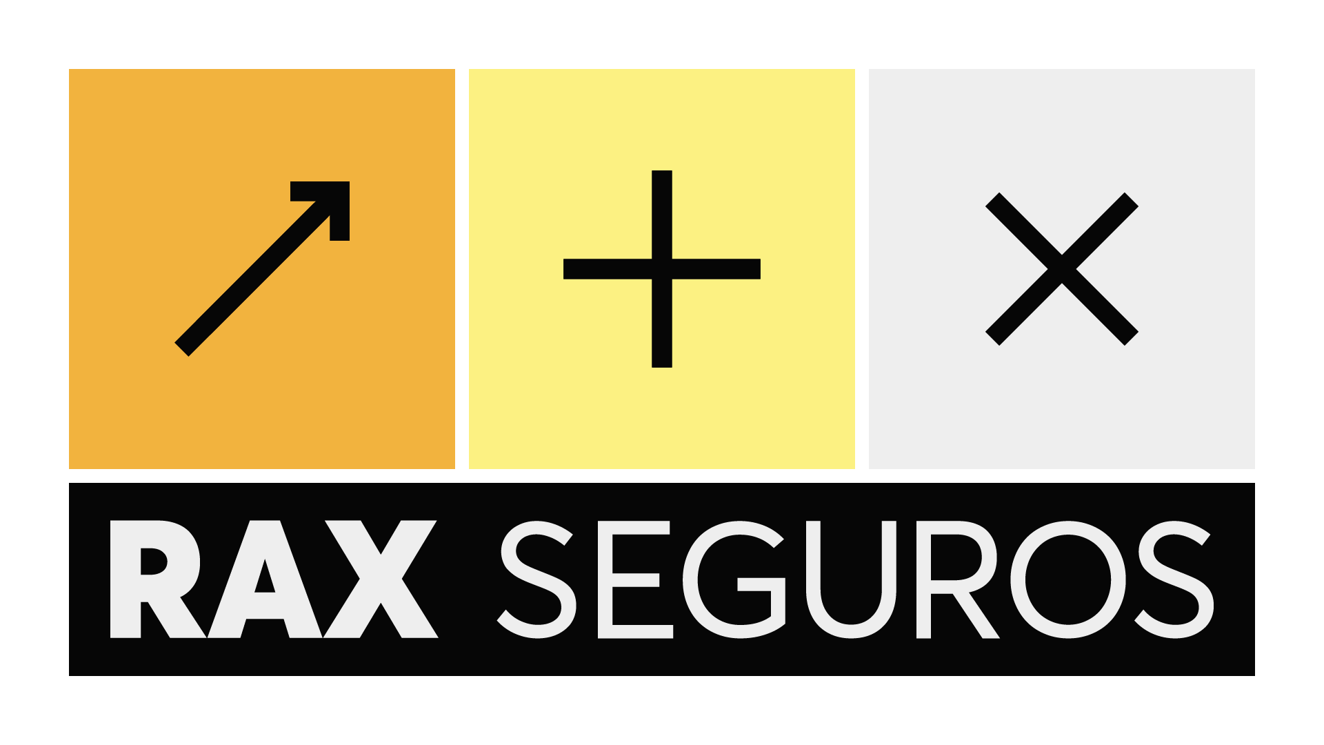 RAX Seguros - 5